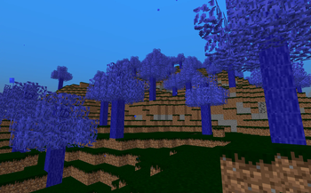 Woods of Worry