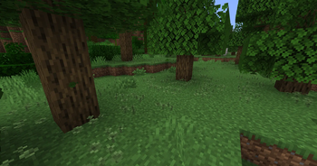 Clovers