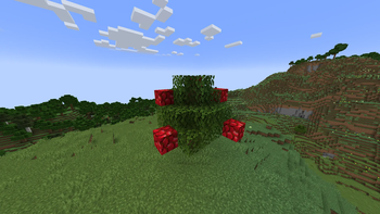 Apple Tree