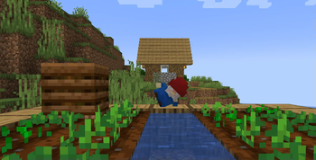 gnome