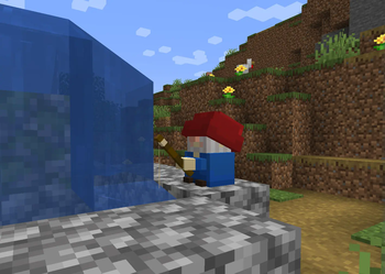 fishing gnome