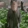 Metahuman Origins