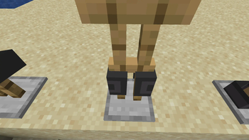 Protect Your Legging!
