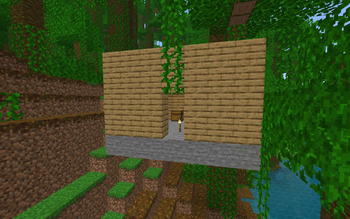 Bonus House