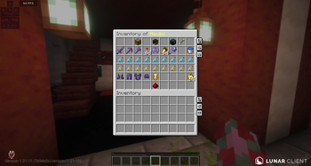 Example of /invsee