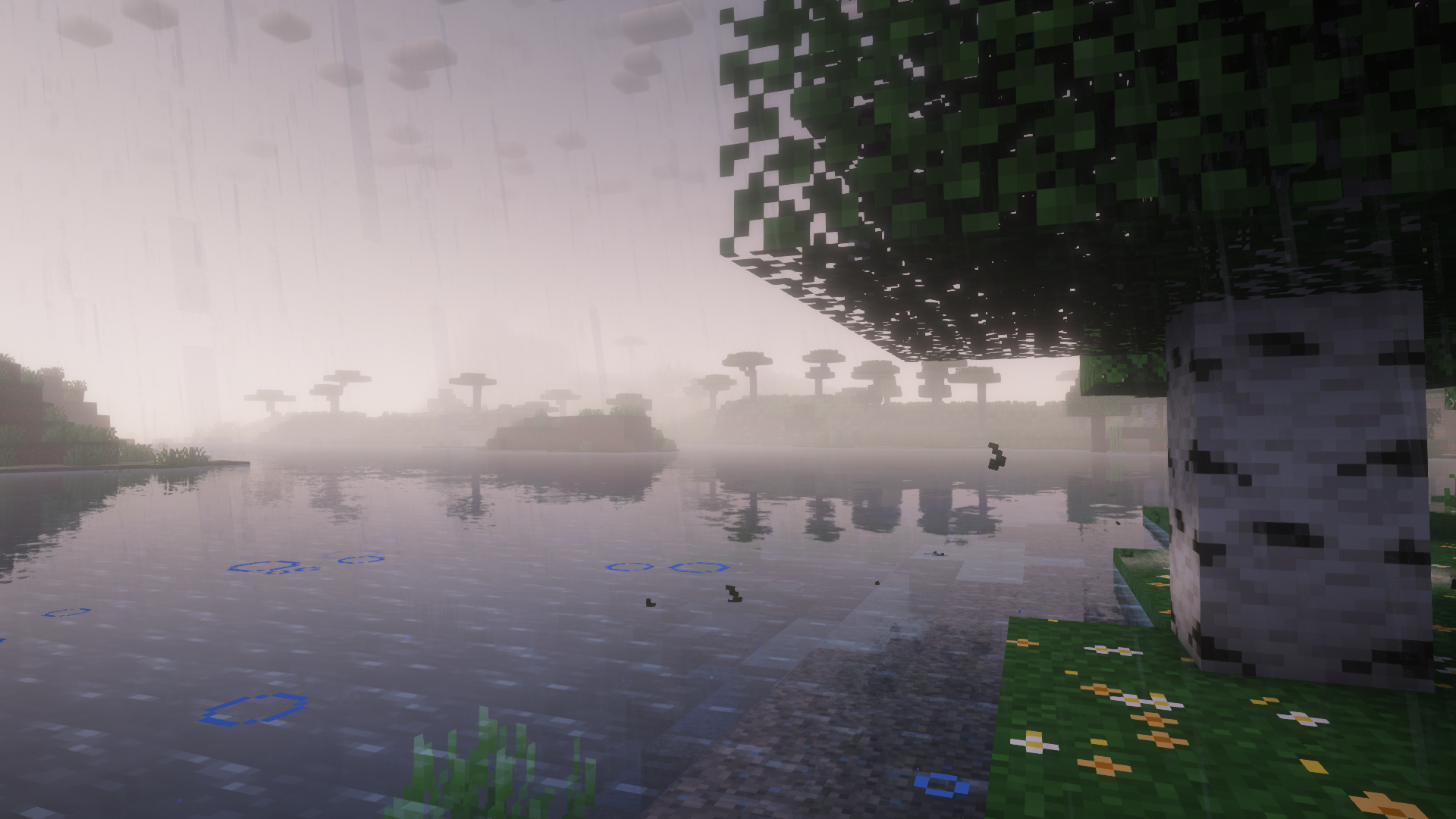 Enhanced Quality - Gallery