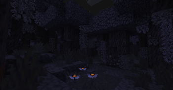 Pale Garden (Night-time)