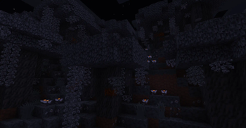 Pale Garden (Night-time)