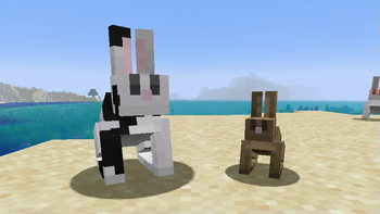 Rabbit Comparison