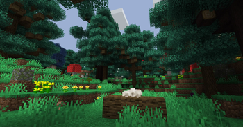 Custom Biomes!