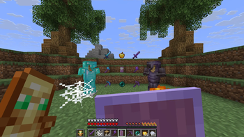 Showcase