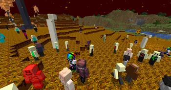 A picture of some more player Varients