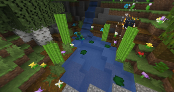 Water Garden