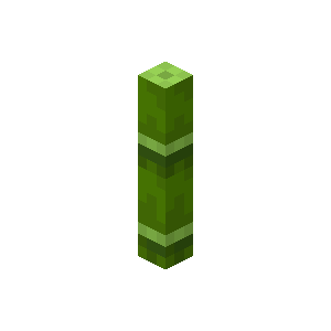 CollisionFix