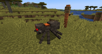 Spider leading