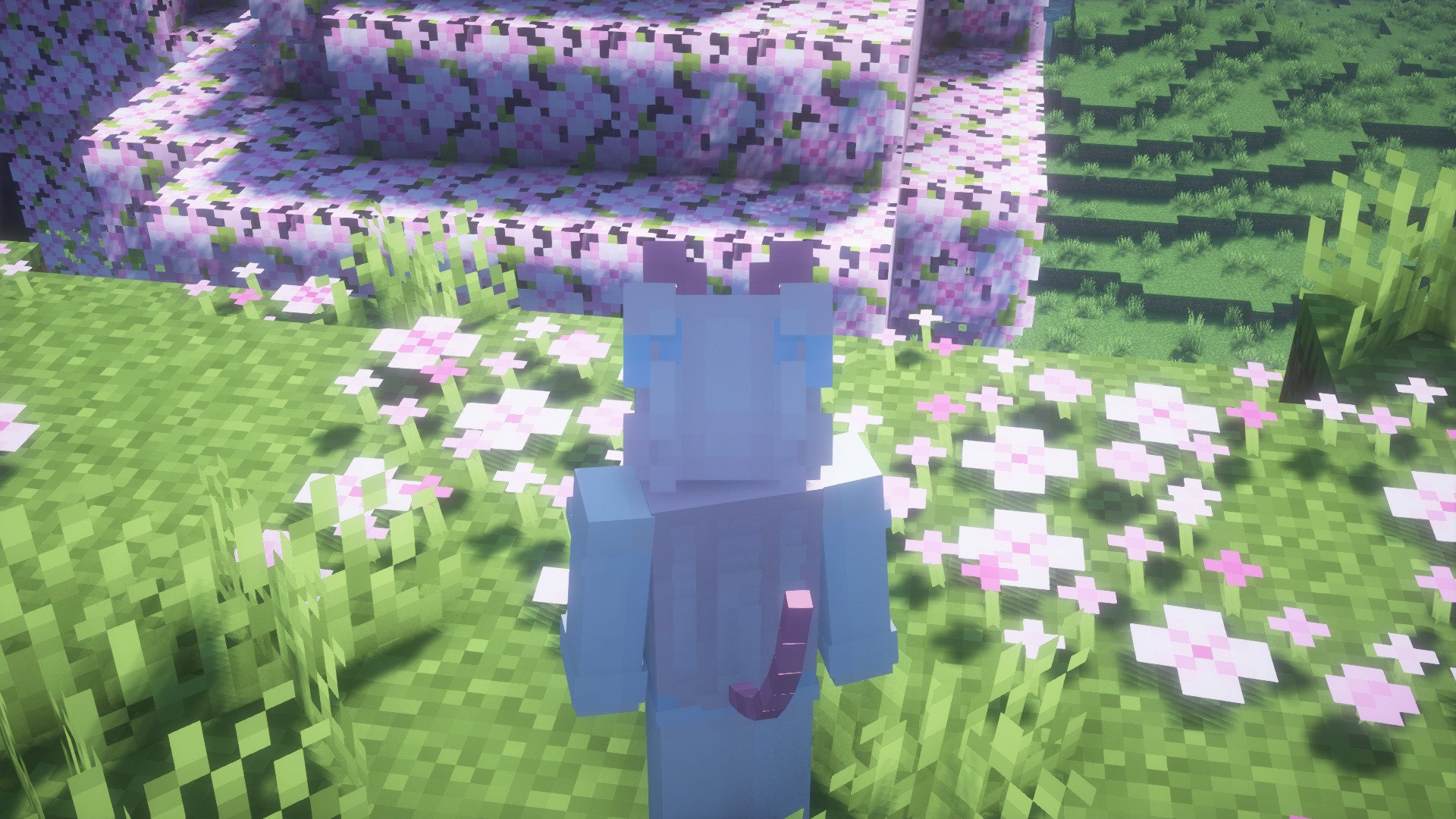 trinkets