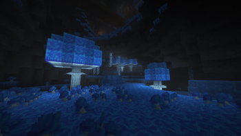 Glowing Mushroom Biome!