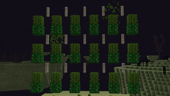 Farming cactus