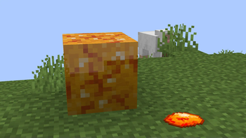 Amber Block and Amber Fossil