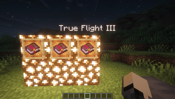 TRUE FLIGHT 3