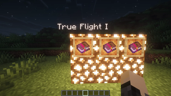 TRUE FLIGHT 1