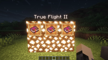 TRUE FLIGHT 2