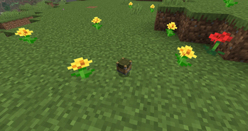 Dropped Item