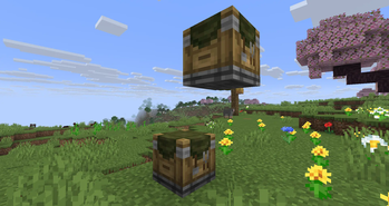 Block Sides Showcase