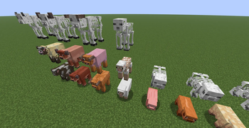 Sheep