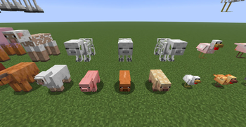 Pigs