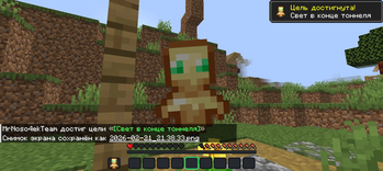 - totem 