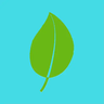 feintleaf