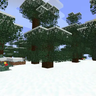 Snowy Trees