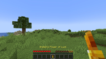 Holding the Flower of Luck