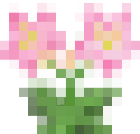 Many Flowers