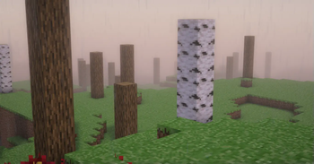 The Dawn Falls