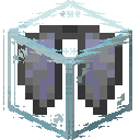 Elytra Breaks Glass
