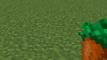 Carrot in First Person