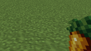 Golden Carrot in First Person