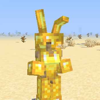 pack.png