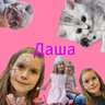 Dashunka2014