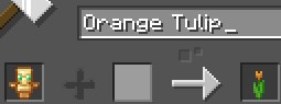 Orange Tulip