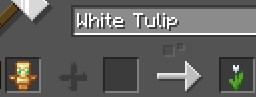 White Tulip