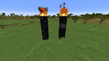 Totems