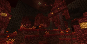Nether