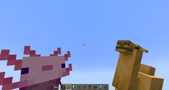 Axolotl & Camel Spawn Eggs In Player Hand