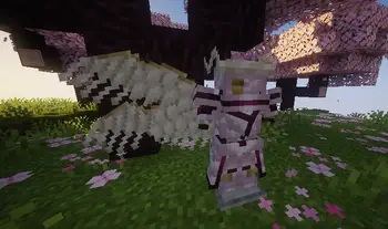 Iner Armor