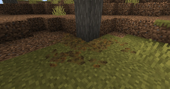 Tinted leaf litter in a savanna biome