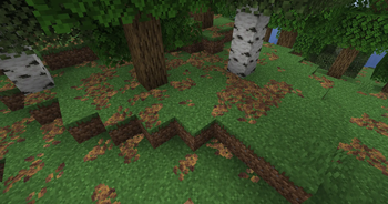 Untinted leaves in a forest