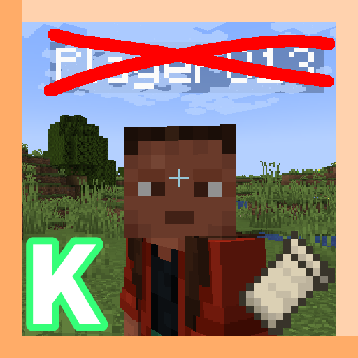 NoPlayerNameDisplay